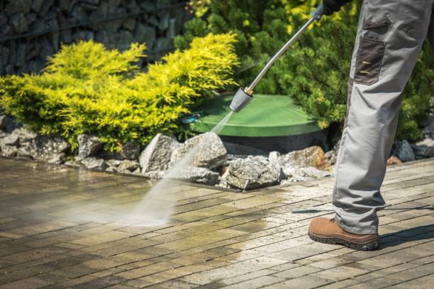 Best Pre-Holiday Cleaning  in New Waverly, TX