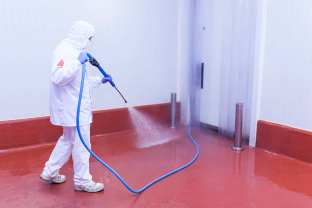 Boat and Dock Cleaning in New Waverly, TX
