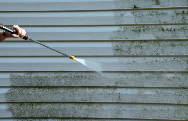 Best Driveway Pressure Washing  in New Waverly, TX